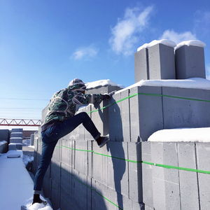 墨人操中国女人的逼
